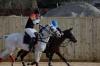 Oxford Polo 2023_01_08 0064